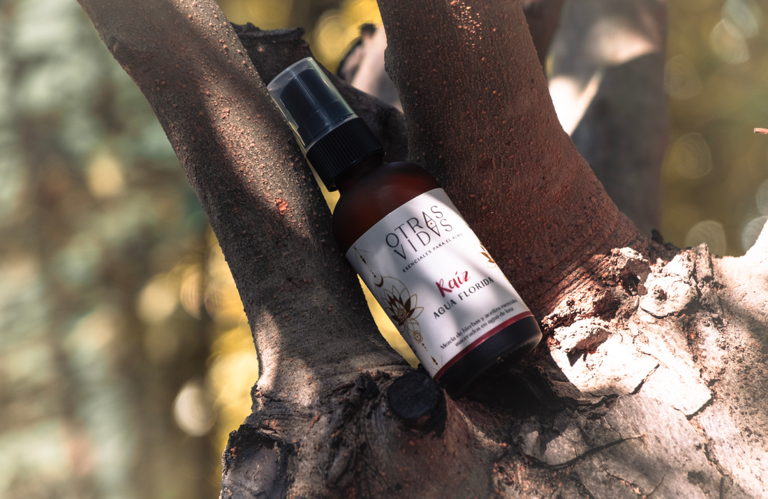 Tu ritual nocturno con Agua Florida Raíz