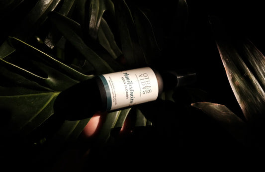 Cómo manifestar: ritualiza la cotidianeidad con Aguas Floridas